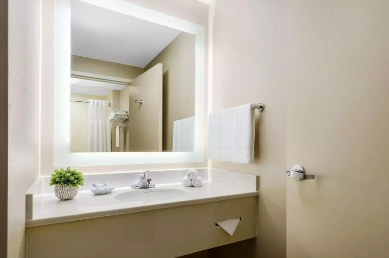 スタンダードルーム, Microtel Inn & Suites By Wyndham Gardendale