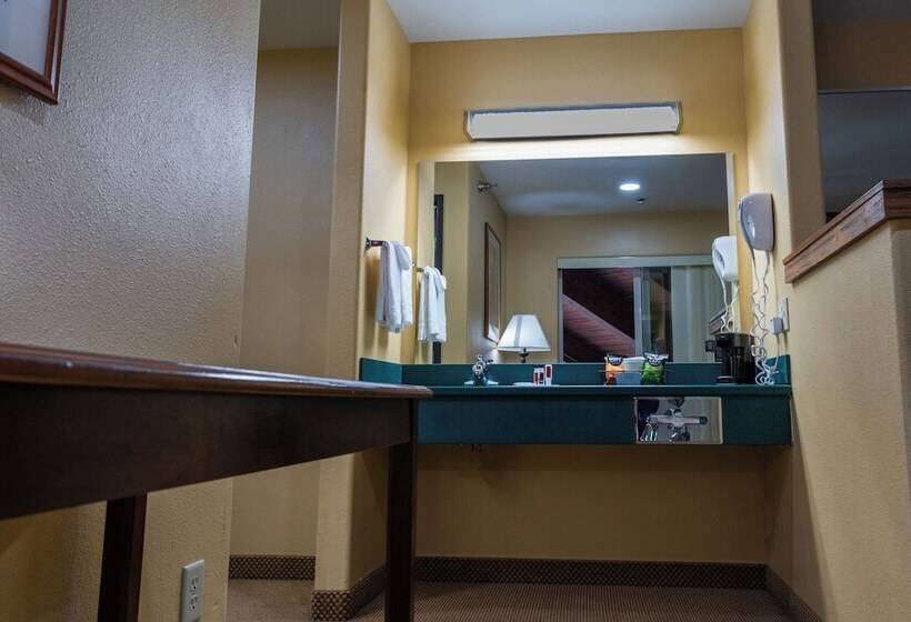 غرفه قياسيه سريرين مزدوجين, Pinedale Hotel & Suites