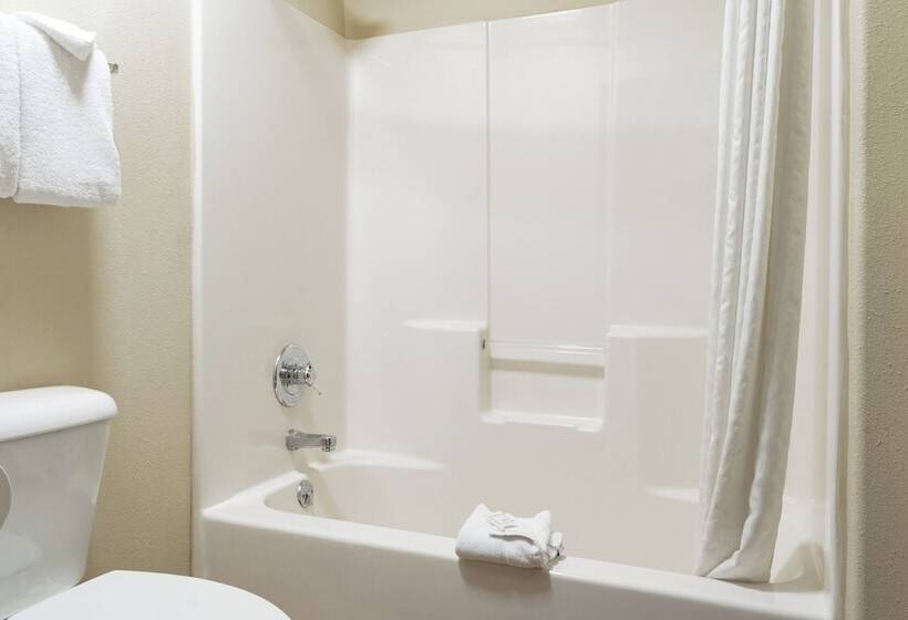 غرفه قياسيه سريرين مزدوجين, Pinedale Hotel & Suites