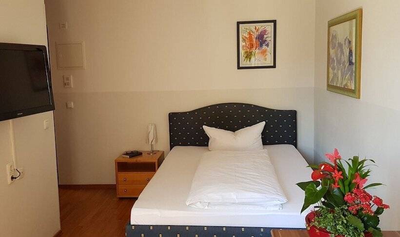 豪华单人间, Central Hotel Apart München