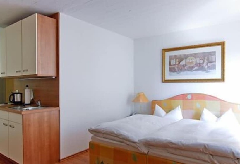 豪华房间, Central Hotel Apart München