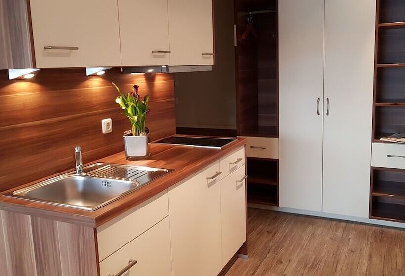 高级大房间, Central Hotel Apart München