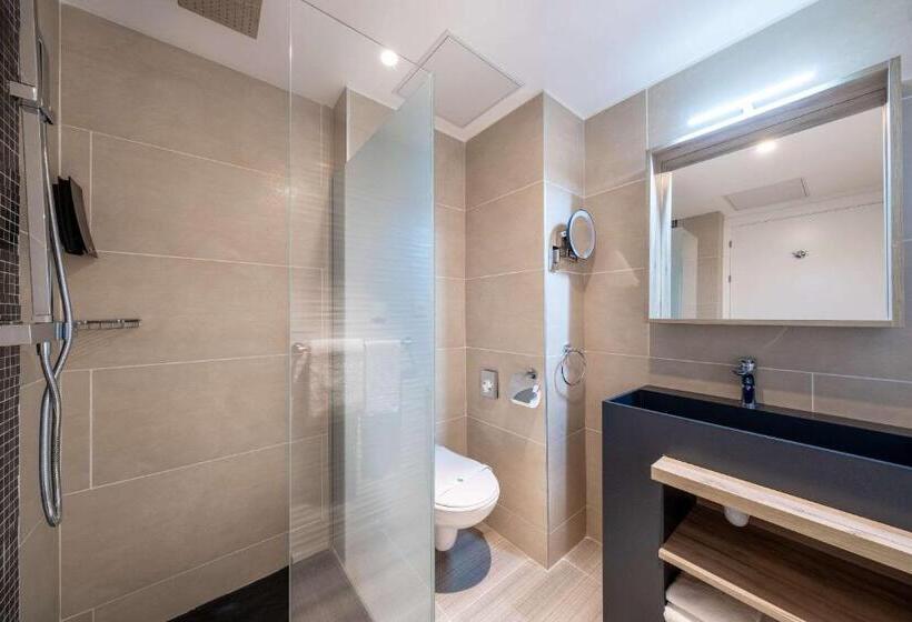 חדר סטנדרט עם מיטת קינג, Quality Hotel Toulouse Centre