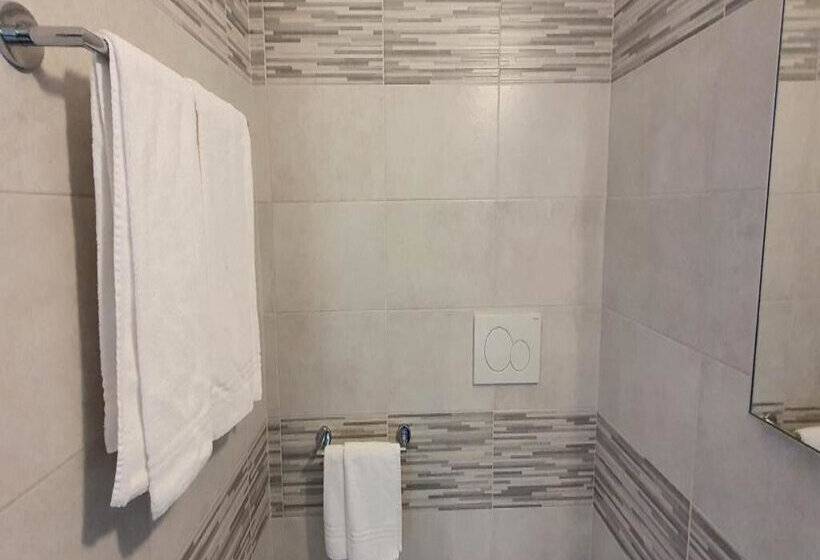 Номер Стандарт Трехместный, Sud Est