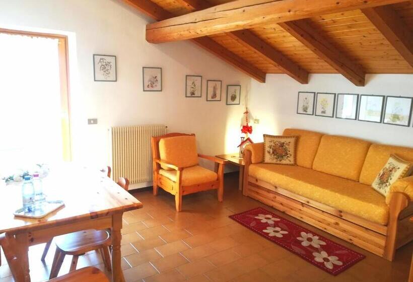 آپارتمان 1 خوابه با چشم‌انداز, Albergo Garnì Maso Mistrin