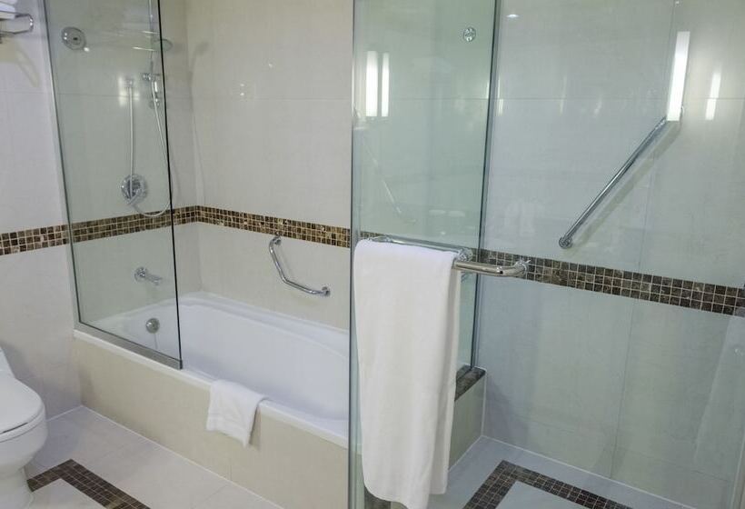 اتاق استاندارد یک نفره, Avenue Hotel Dubai