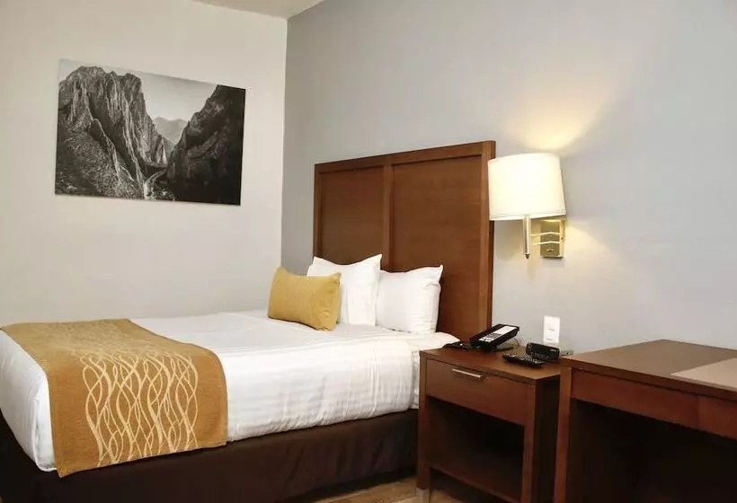 اتاق استاندارد, Comfort Inn Monterrey Valle