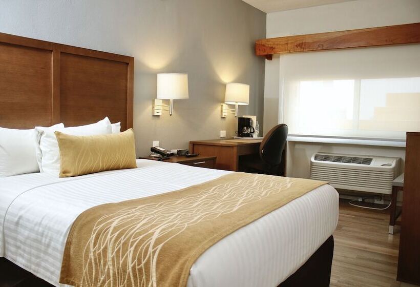 スタンダードルーム, Comfort Inn Monterrey Valle