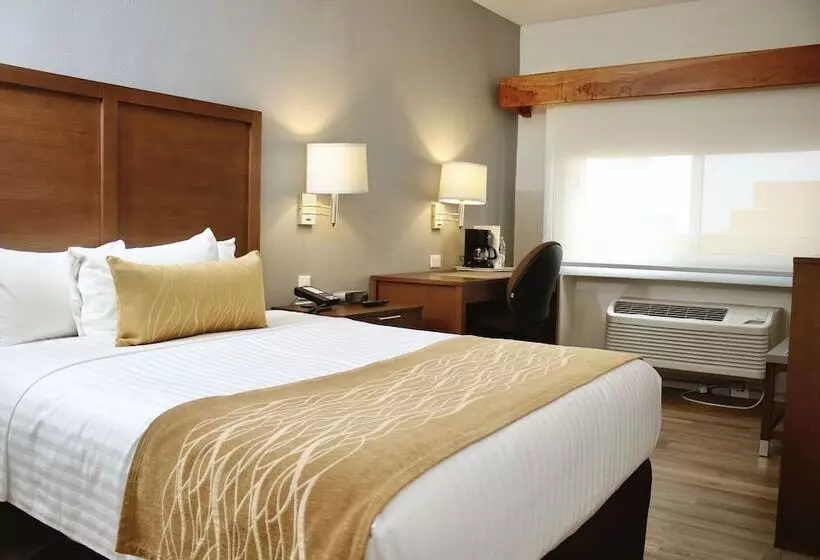 اتاق استاندارد, Comfort Inn Monterrey Valle