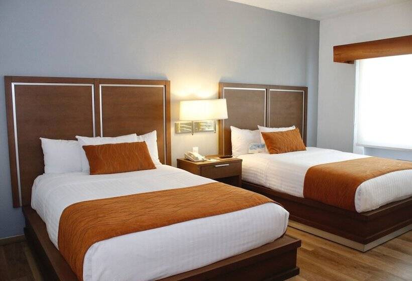 ２ダブルベッドのスタンダードルーム, Comfort Inn Monterrey Valle