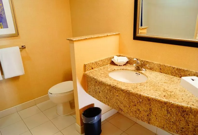 اتاق استاندارد با 2 تخت دوبل, Courtyard Monterrey San Jeronimo