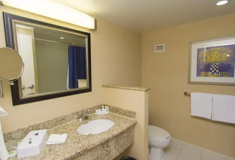 اتاق استاندارد با 2 تخت دوبل, Courtyard Monterrey San Jeronimo