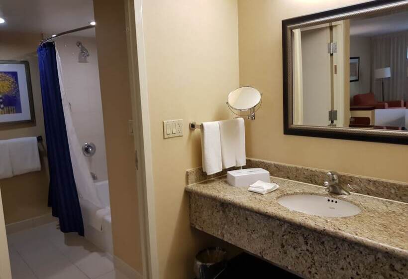 套房, Courtyard Monterrey San Jeronimo