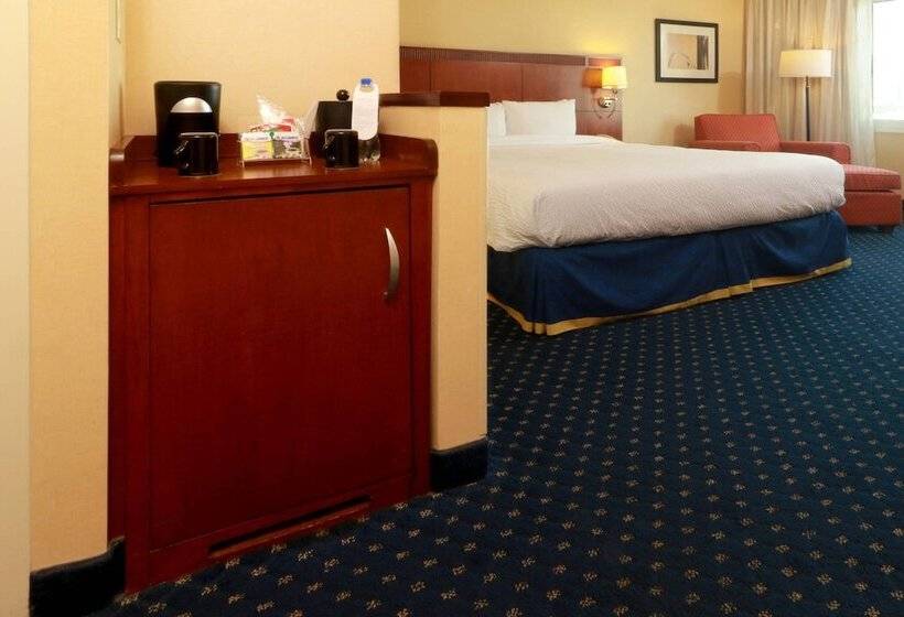 套房, Courtyard Monterrey San Jeronimo