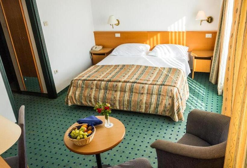 اتاق استاندارد یک تخته با بالکن, Vile Park