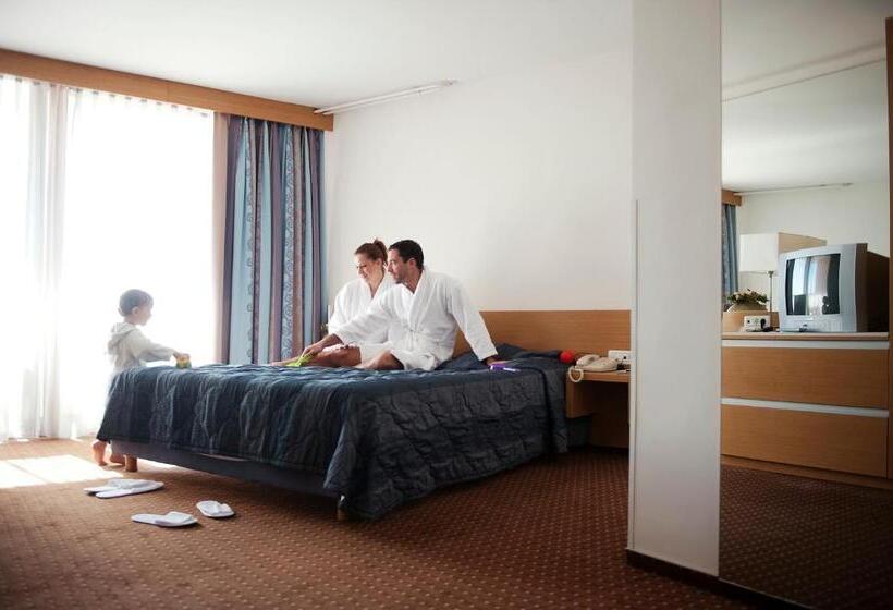 اتاق استاندارد, Vile Park