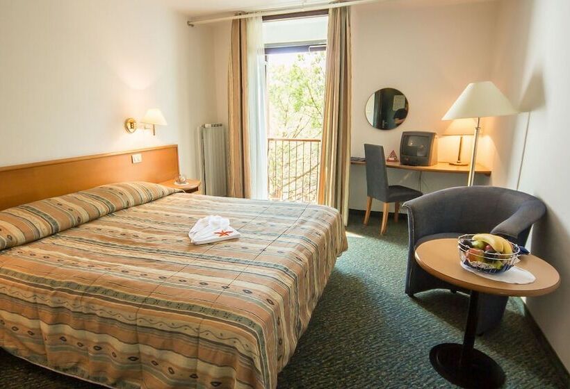 اتاق استاندارد, Vile Park