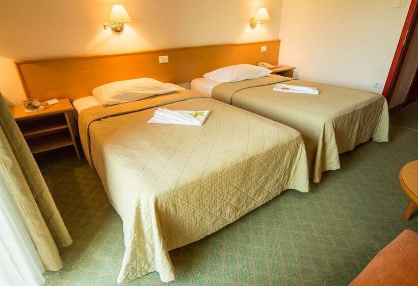 اتاق استاندارد با بالکن, Vile Park