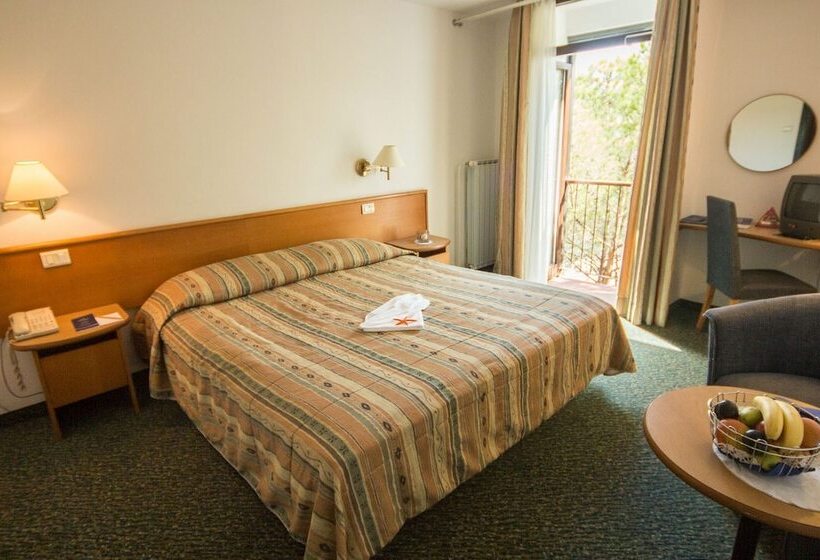 غرفة قياسية مزوَّدة بشُرفة, Vile Park