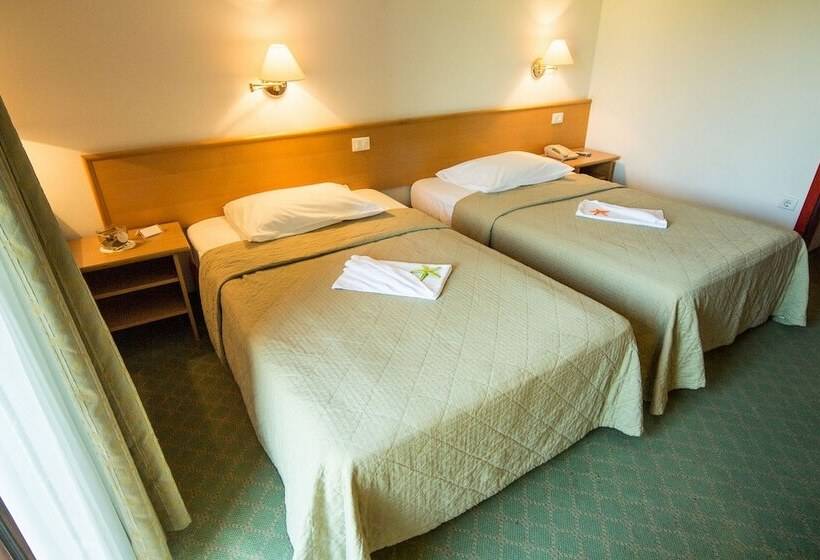 اتاق استاندارد یک تخته با بالکن, Vile Park