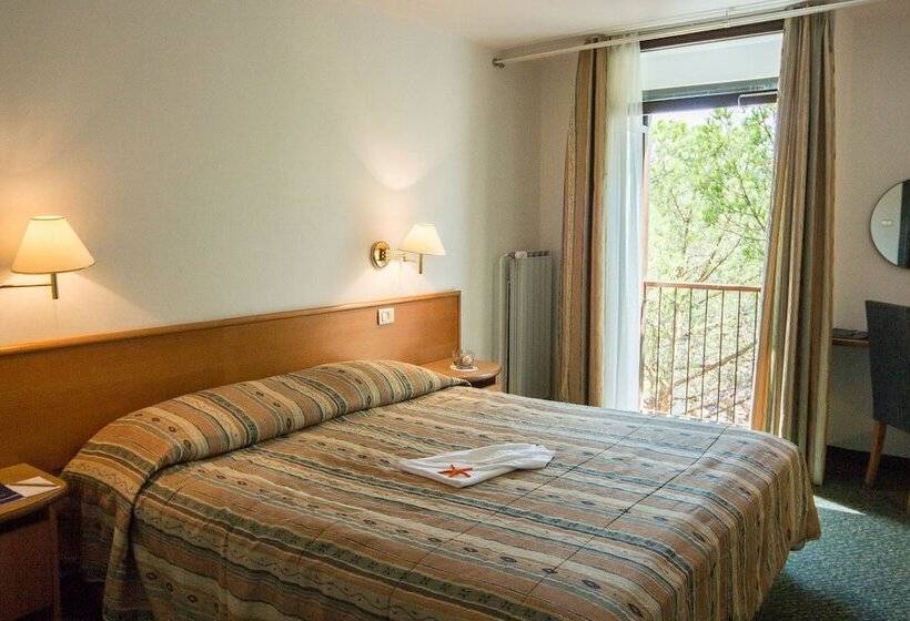 اتاق استاندارد یک تخته با بالکن, Vile Park