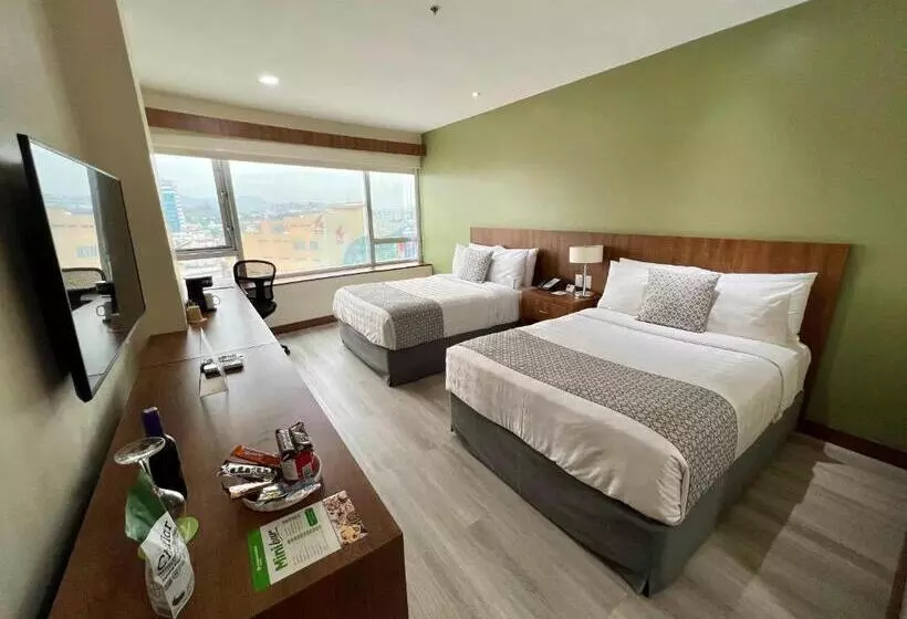 اتاق استاندارد, Wyndham Garden Guayaquil
