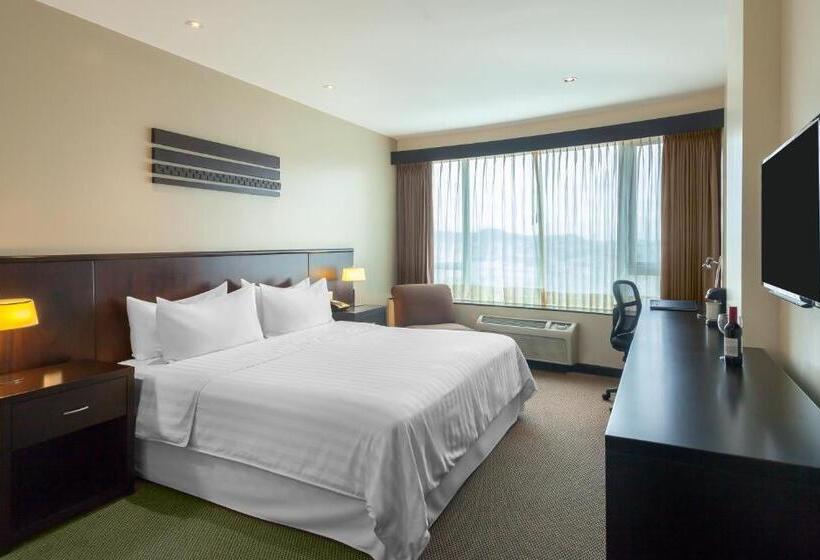 غرفة قياسية سرير كينج, Wyndham Garden Guayaquil