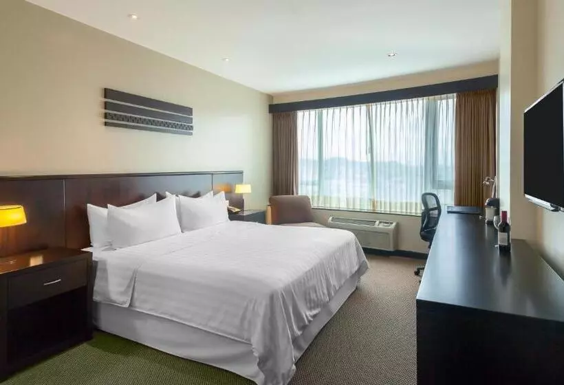 اتاق استاندارد با تخت بزرگ, Wyndham Garden Guayaquil