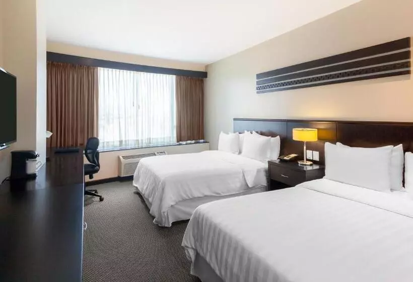 اتاق استاندارد, Wyndham Garden Guayaquil
