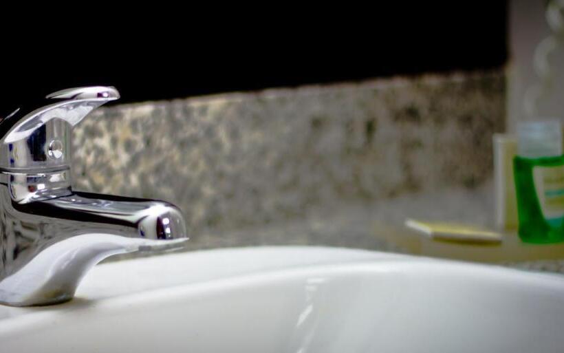 غرفة قياسية, Wyndham Garden Guayaquil