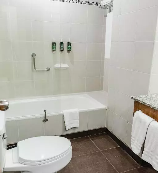اتاق استاندارد با تخت بزرگ, Wyndham Garden Guayaquil