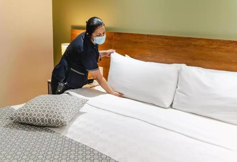 اتاق استاندارد با تخت بزرگ, Wyndham Garden Guayaquil