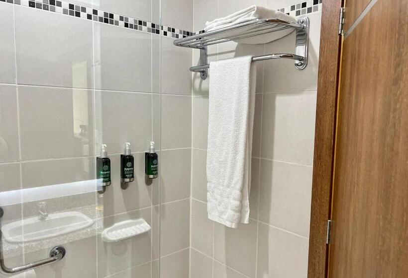 غرفة قياسية سرير كينج, Wyndham Garden Guayaquil