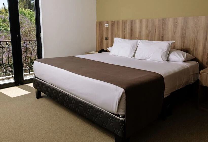 シングルデラックスルーム, Villa Del Carmen