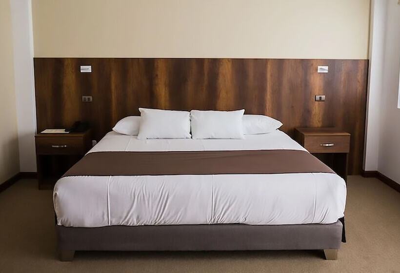 シングルデラックスルーム, Villa Del Carmen