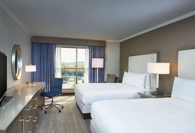 اتاق دلوکس مخصوص معلولین, Doubletree By Hilton Irvine   Spectrum