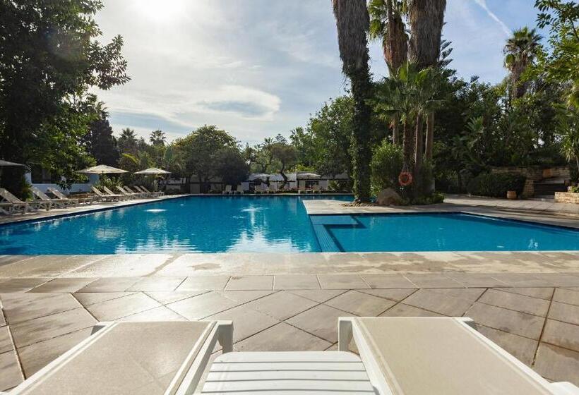 수피리어 룸 풀장 전망, Kabila