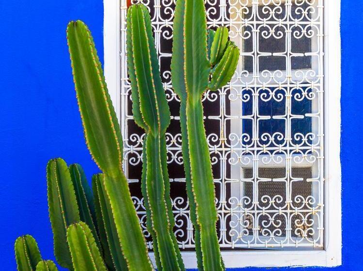 Suite Vue Jardin, Le Bled Ferme