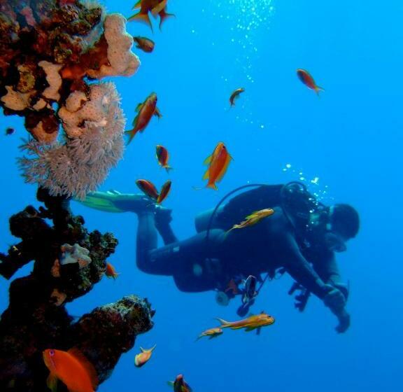 غرفة قياسية, Steigenberger Aldau Beach