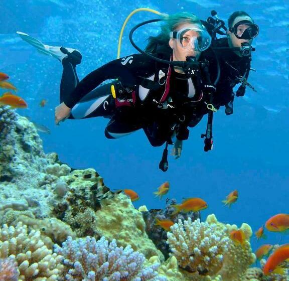 غرفة قياسية, Steigenberger Aldau Beach