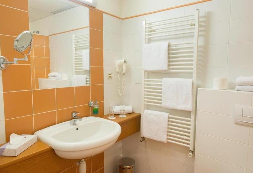 غرفة قياسية, Grand Litava Beroun