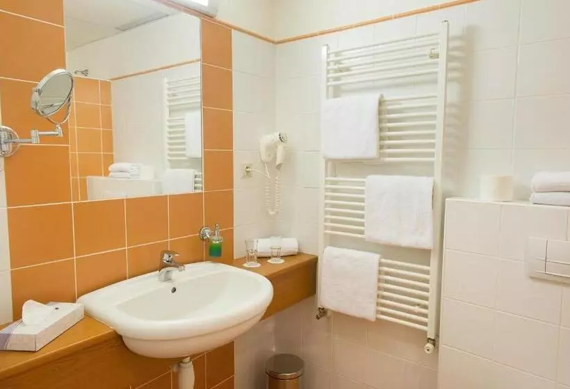 Standard-huone, Grand Litava Beroun
