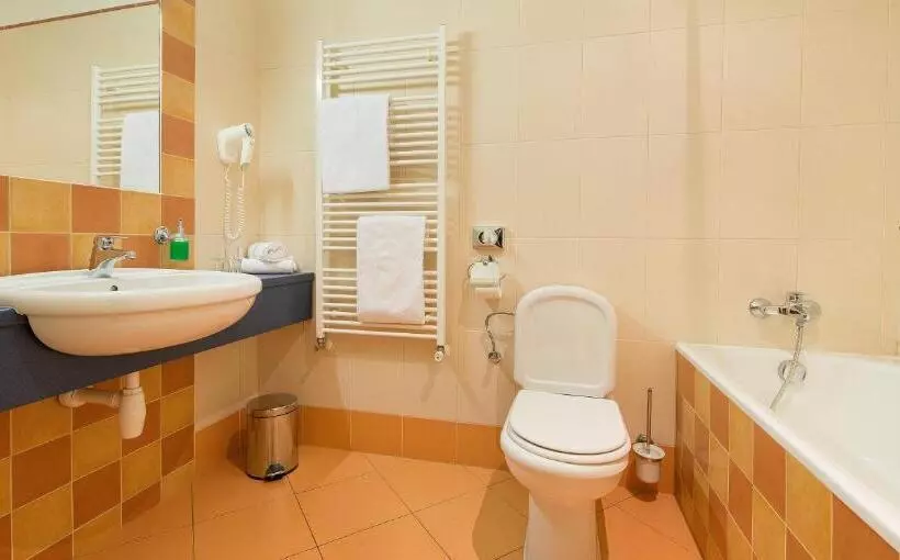 Standard-huone, Grand Litava Beroun