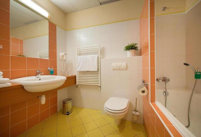 غرفة قياسية, Grand Litava Beroun