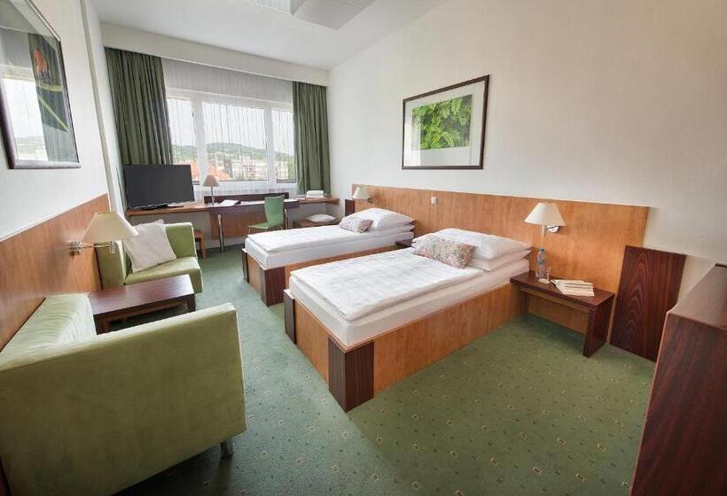 غرفة قياسية, Grand Litava Beroun