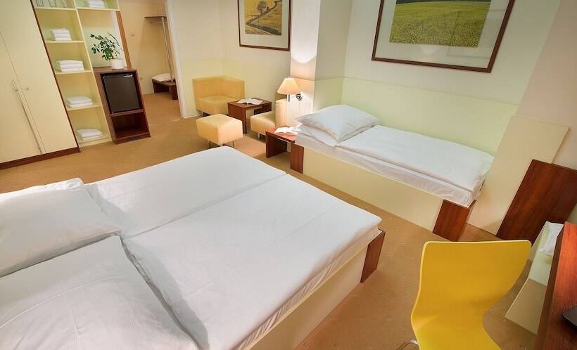 غرفة كومفورت ثلاثية, Grand Litava Beroun