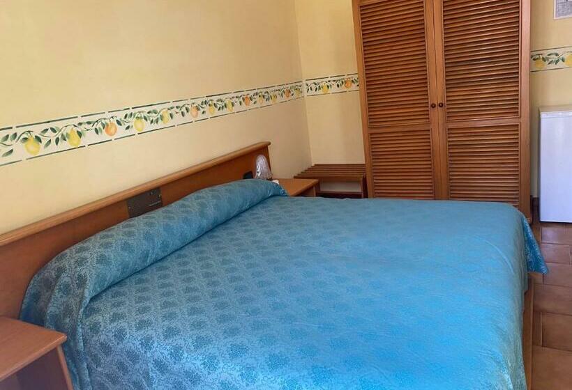 Номер Стандарт, San Pietro