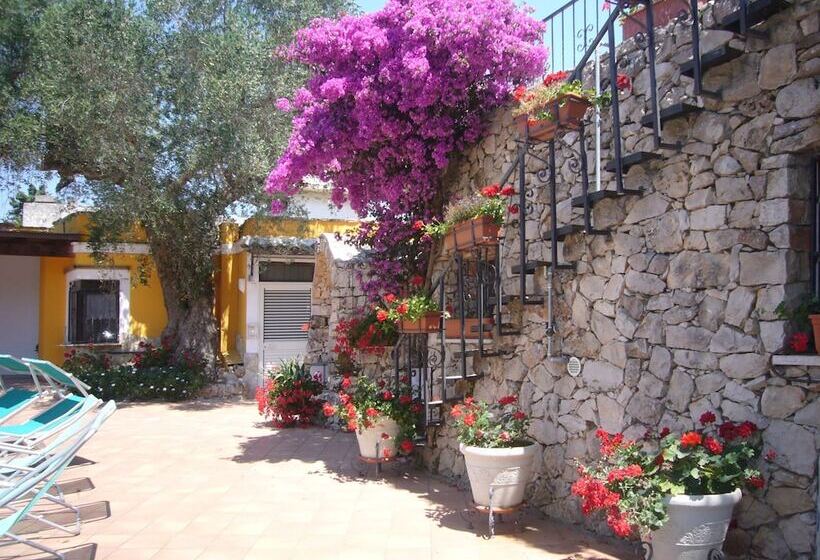 شقة غرفة واحدة, Villa Vacanze Paradiso