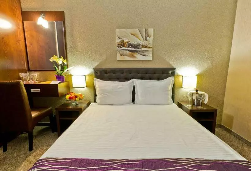 اتاق استاندارد یک نفره, Spa Hotel Spartak