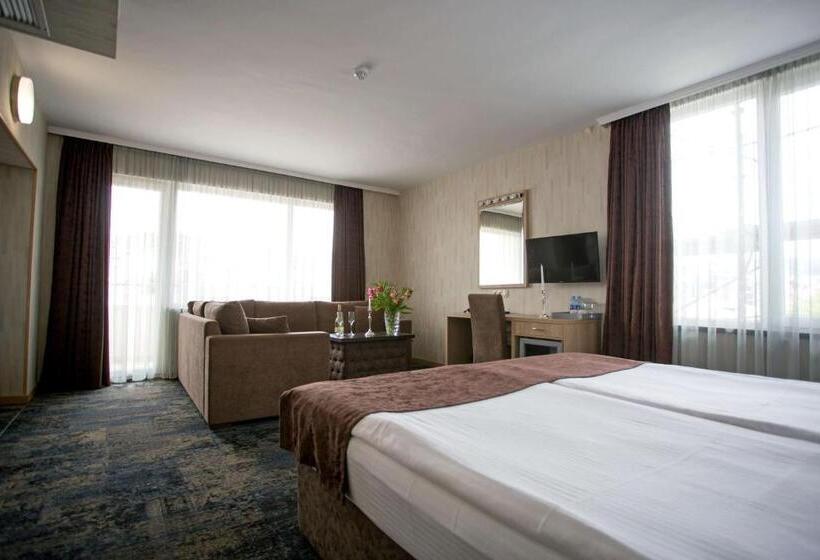 Полулюкс Повышенной Комфортности, Spa Hotel Spartak
